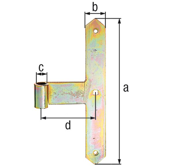 Produktbild Alberts Tor-Mittelband,  Abschluss spitz,  feuerverzinkt,  HxB 300x40 mm, Rolle Ø16 mm