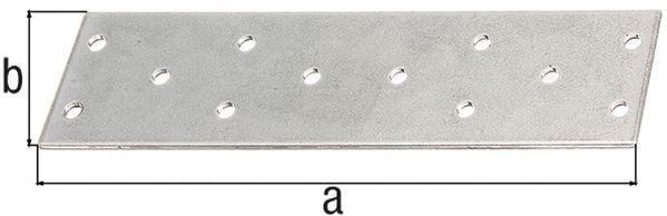 Produktbild Alberts Lochplatte, sendzimirverzinkt, LxB 200x60 mm