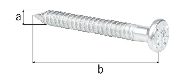 Produktbild Alberts Ankernagel, verzinkt, Ø4 mm, Länge 40 mm, in Hängebox, verpackt à 50 St.