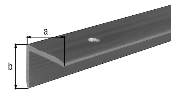 Produktbild Alberts Treppenkanten-Schutzprofil, Kst., schwarz, LxBxHxS 1000x25x20x2,0mm