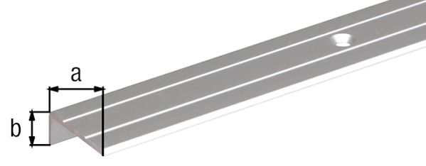 Produktbild Treppenkanten-Schutzprofil,gebohrt, Alu gold elox.,LxBxHxS 1000x24,5x10x1,5mm