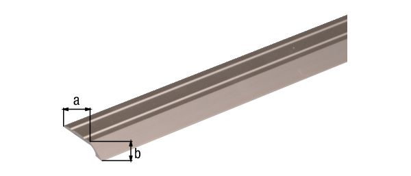 Produktbild Alberts Ausgleichsprofil selbstklebend Alu edelstahl eloxiert 900 x 39 x 4 x 2 mm bild 2