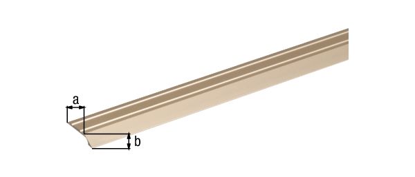 Produktbild Alberts Ausgleichsprofil selbstklebend Alu sand eloxiert 900 x 30 x 4 x 2 mm bild 2