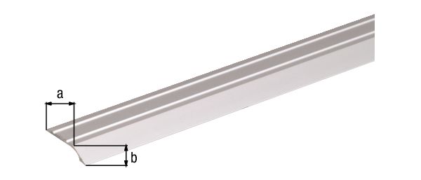 Produktbild Alberts Ausgleichsprofil selbstklebend Alu silber eloxiert 900 x 39 x 4 x 2 mm bild 2