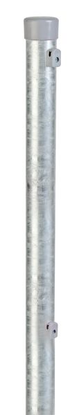 Produktbild Alberts Zaunpfosten feuerverzinkt 2500mm Pfostenstärke 42mm Geflechthöhe 2000mm