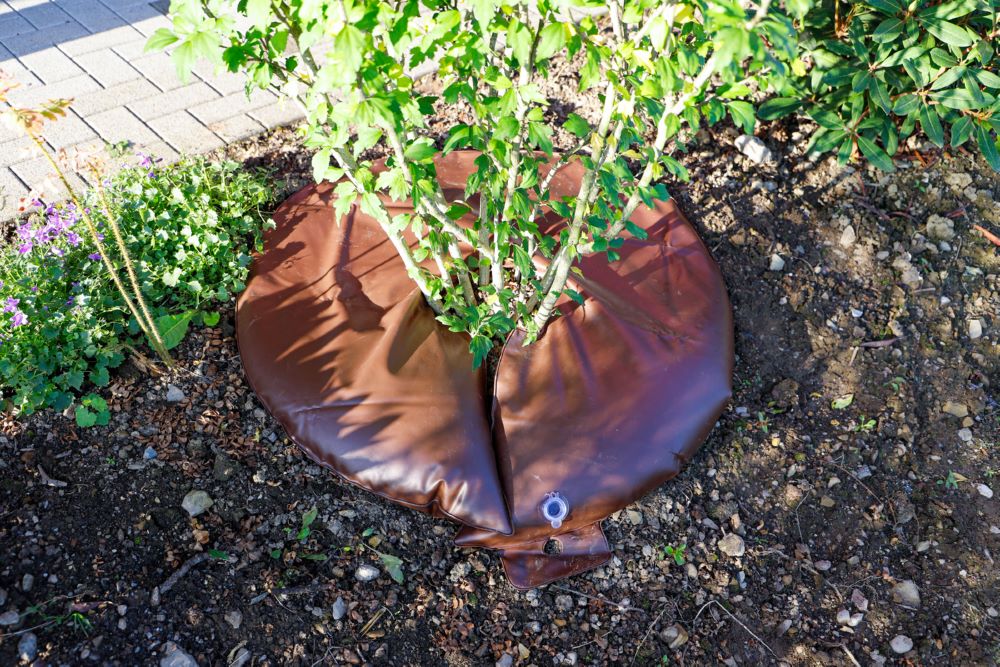 Produktbild Bewässerungsring 55 liter bild 2