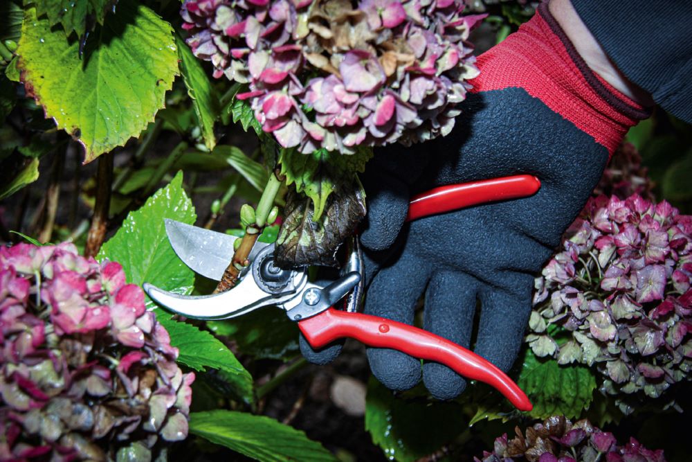 Produktbild Leichtmetall Gartenschere 210 mm bild 5