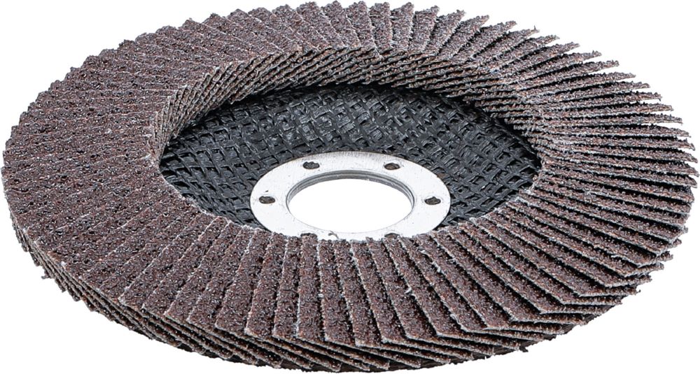 Produktbild Fächer Schleif Scheibe Durchmesser 125 mm K 40 bild 2