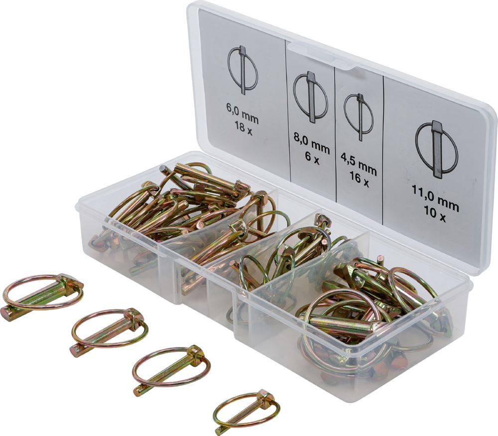 Produktbild BGS Klappsplinte Sortiment 50 teilig