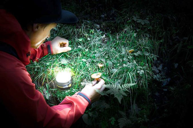 Produktbild Brennenstuhl Akku LED Outdoor Leuchte Oli 0300 A Campingleuchte mit USB bild 19