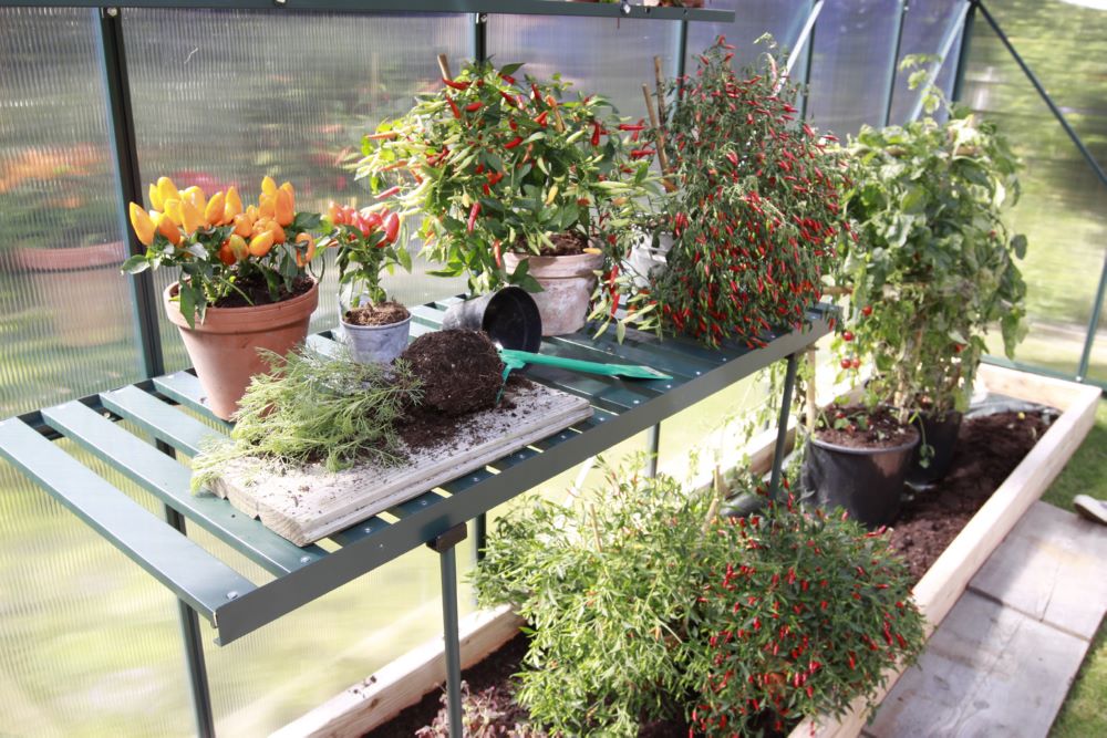 Produktbild Vitavia Alutisch abklappbar 120 x 56 x 81 cm in smaragd bild 3