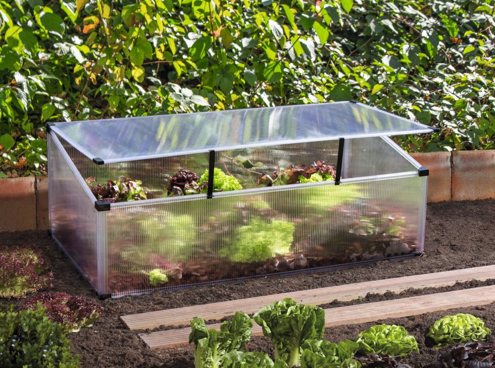 Produktbild Pergart Frühbeet Feronia Maße 1040 x 560 mm bild 2