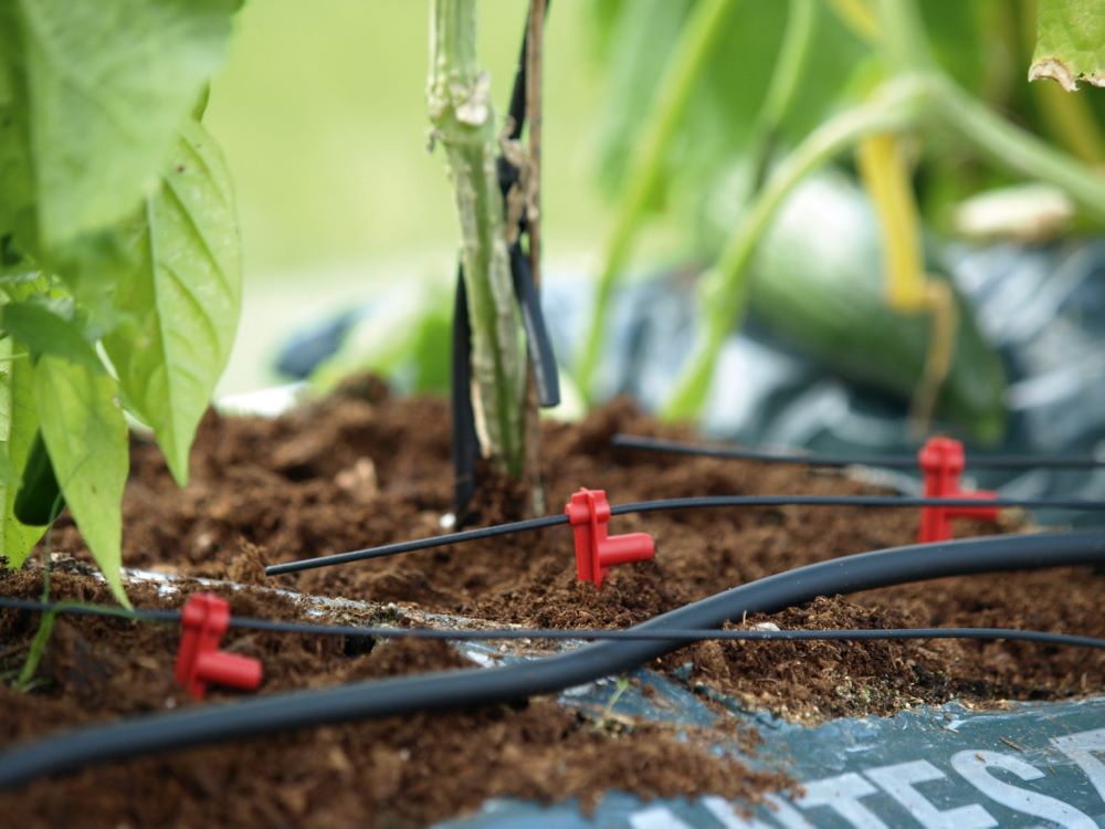 Produktbild Vitavia Hydromat Ergänzungs Set bild 1