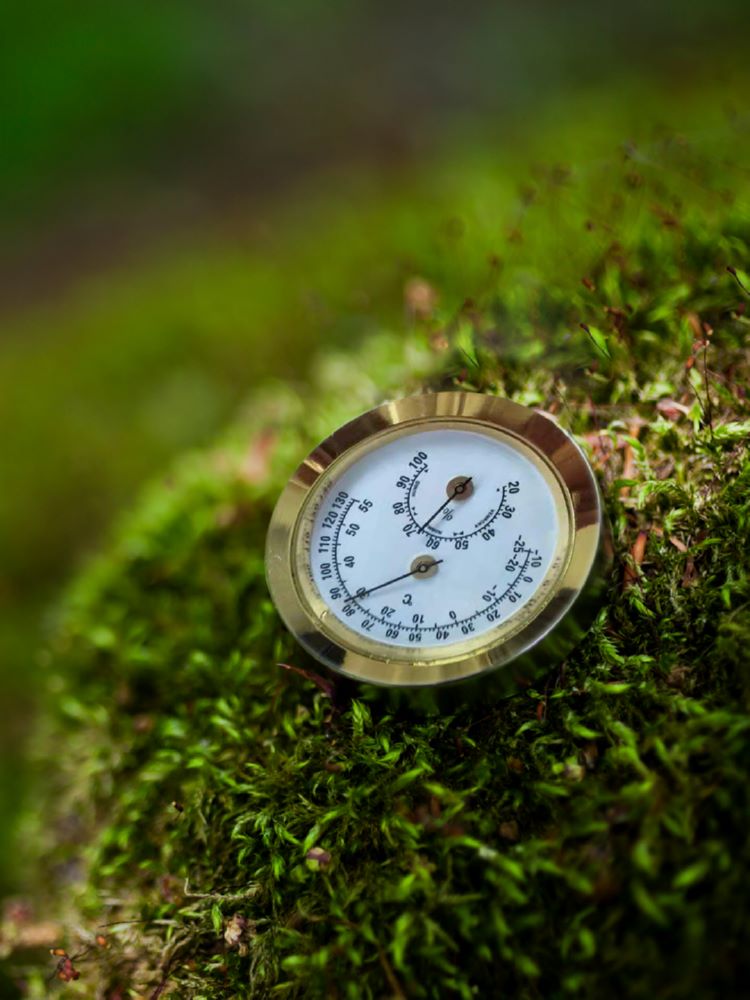 Produktbild Pergart Hygrometer bild 2