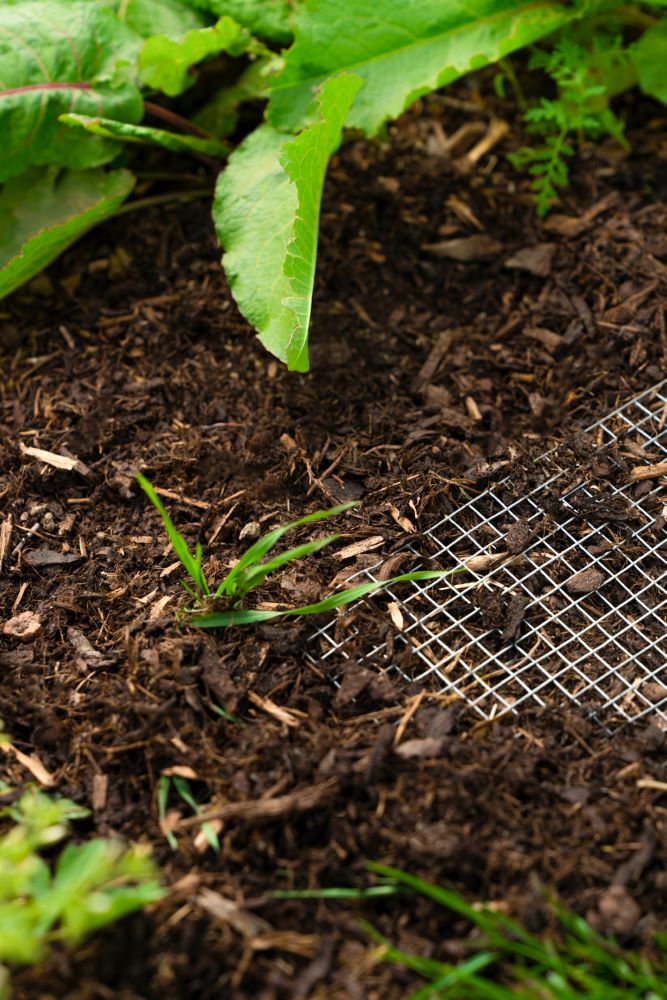 Produktbild Pergart Mäusegitter Draneo für Hoch- und Innenbeete bild 2