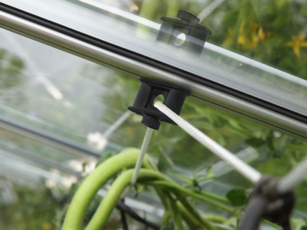 Produktbild Vitavia Pflanzenhalter schwarz 10 Stück bild 2