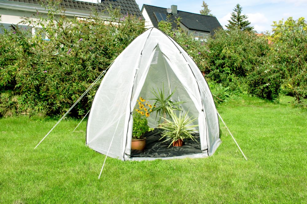 Produktbild Pergart Pflanzenzelt Hawaii L 2400 x 2400 mm