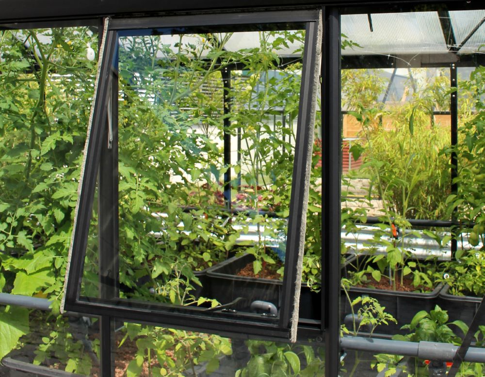 Produktbild Vitavia Seitenfenster H mit ESG schwarz Länge 876 x 554 mm