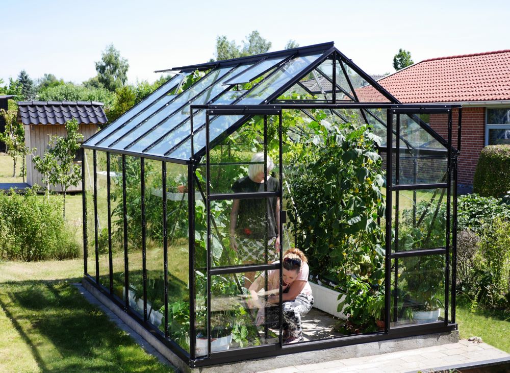 Produktbild Vitavia Gewächshaus Uranus 9900 ESG 3 mm schwarz bild 3