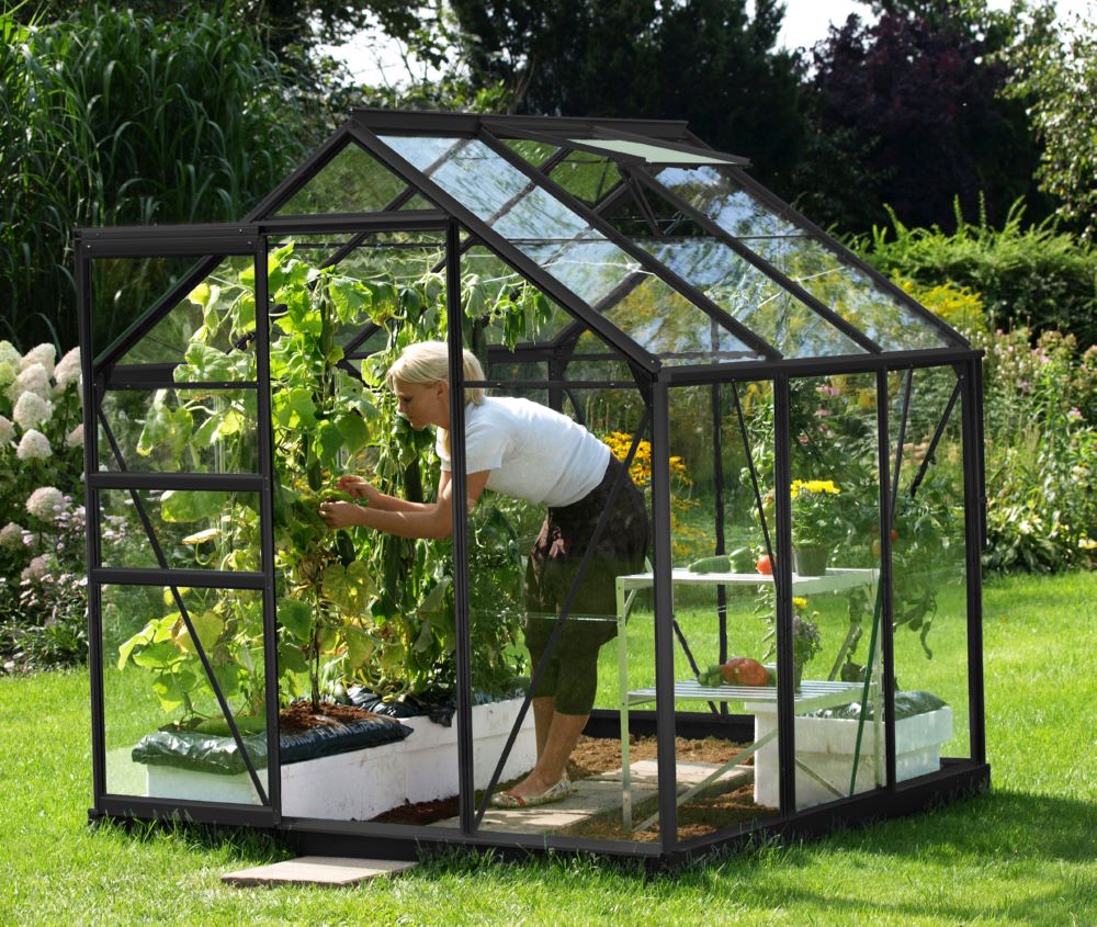 Produktbild Vitavia Gewächshaus Venus 3800 schwarz 1950 x 1950 mm