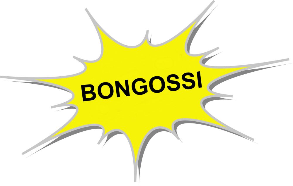 Produktbild Famag Hartholz Schlangenbohrer mit Untermesser 460x8mm bild 3