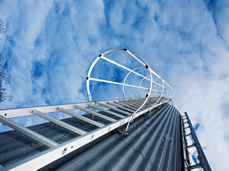 Produktbild Günzburger Einzügige Steigleiter mit Rückenschutz Steighöhe 5,60 Meter Edelstahl