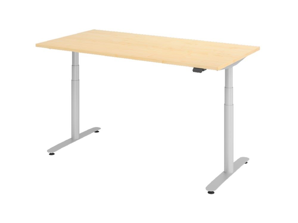 Produktbild Hammerbacher Sitz-Steh-Schreibtisch 160 x 80 cm Ahorn Elektrisch stufenlos höhenverstellbar
