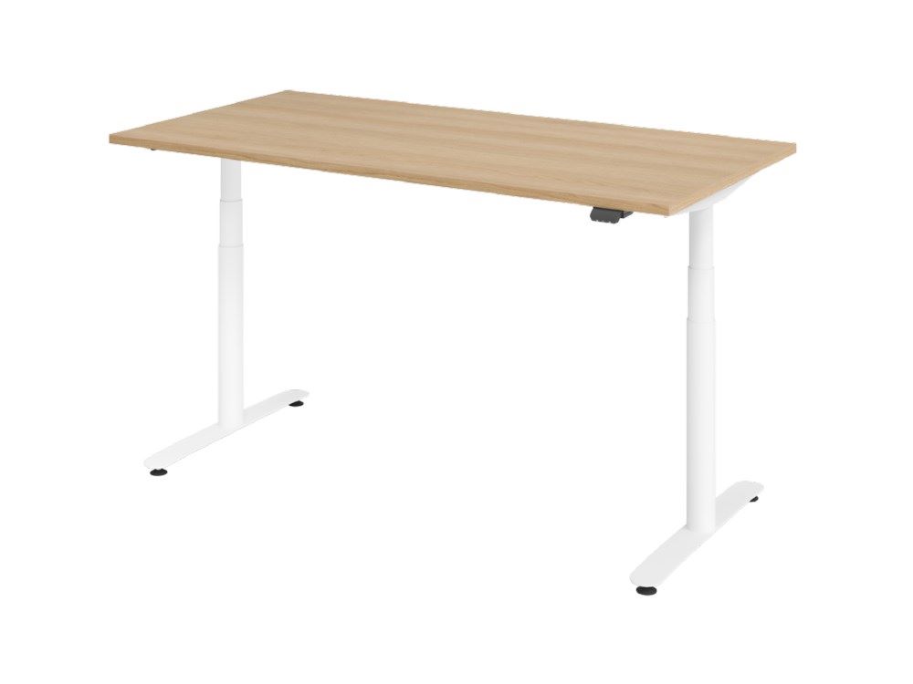 Produktbild Hammerbacher XDLR16 Sitz-Steh-Schreibtisch 160 x 80 cm Eiche Arbeitshöhe 63 - 167 cm