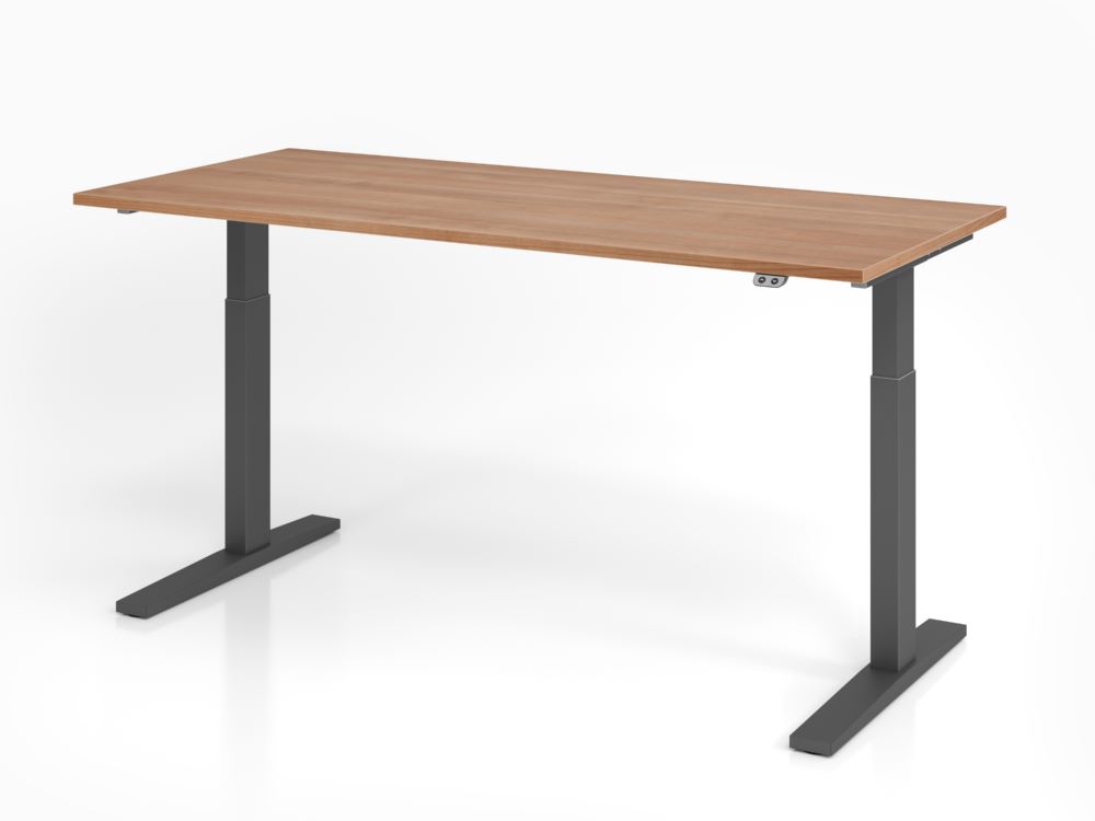 Produktbild Hammerbacher Sitz Steh Schreibtisch Platte 25 mm 180 x 80 cm Nussbaum