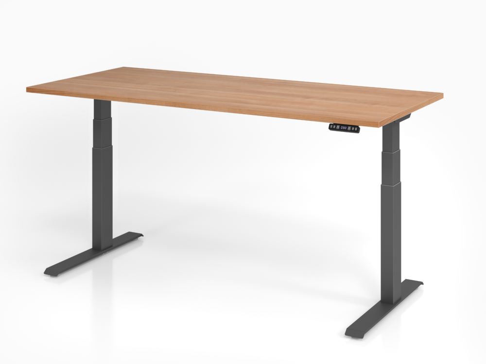 Produktbild Hammerbacher Sitz Steh Schreibtisch XDKB19 180 x 80 cm Nussbaum Elektroantrieb 2-stufig