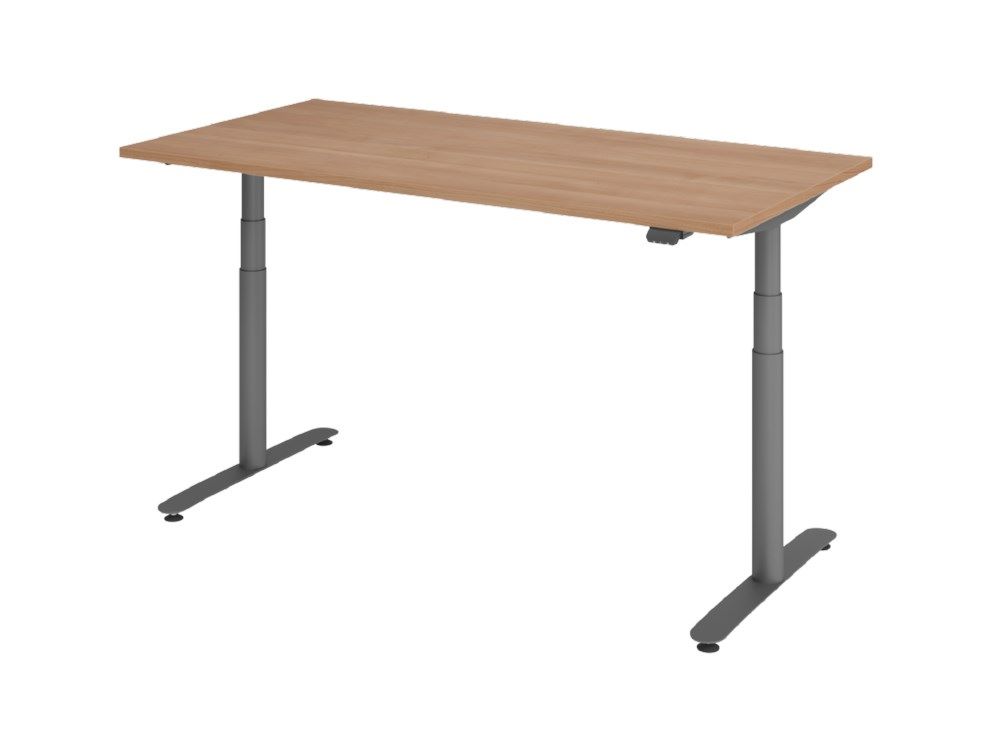 Produktbild Hammerbacher Sitz-Steh-Schreibtisch XDLR16 160 x 80 cm Nussbaum Elektroantrieb 2-stufig