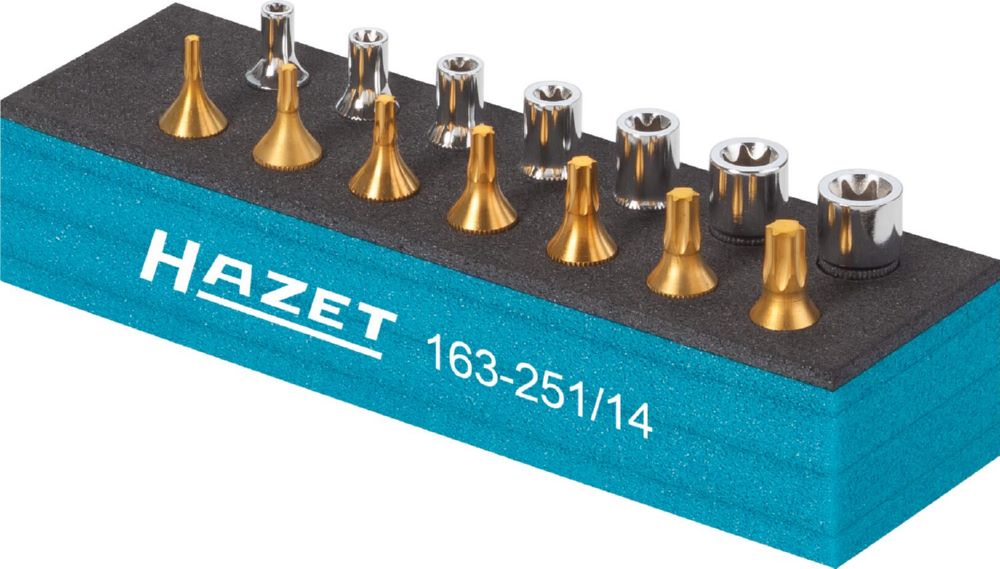 Produktbild Hazet Werkzeug Satz Torx 163-251/14 1/4 Zoll Vierkant E4-E11 T10-T40 bild 3