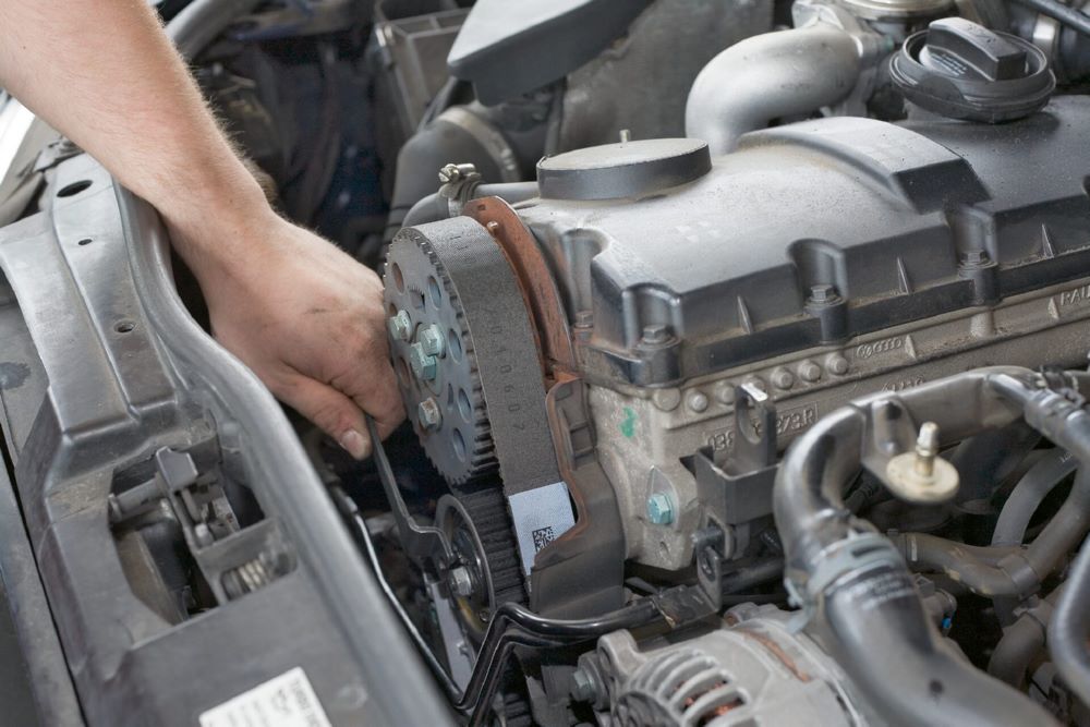 Produktbild Zahnriemen Zweilochmuttern Dreher 2587 Länge 140 mm bild 2