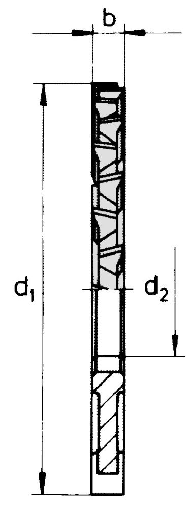 Produktbild FORUM Scheibenfräser D1834A HSSE 100x 3,0mm bild 2