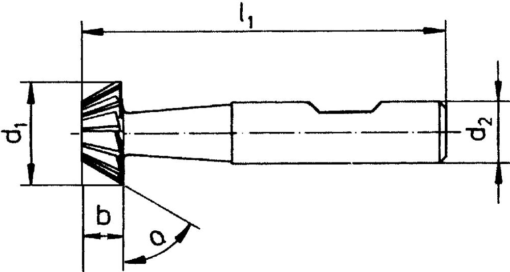 Produktbild FORUM Winkelfräser D1833D HSSE 45G 28,0mm bild 2
