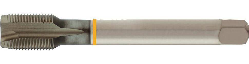 Produktbild FORUM Maschinengewindebohrer D5156B HSS-E G 1/4 Zoll blank