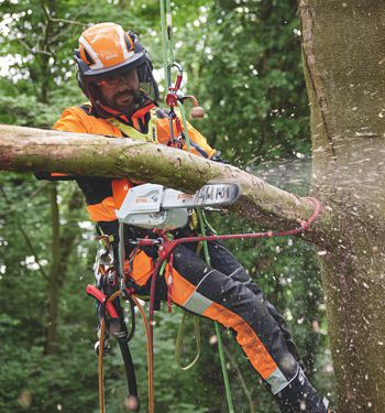 Forstbekleidung Beispiel Stihl