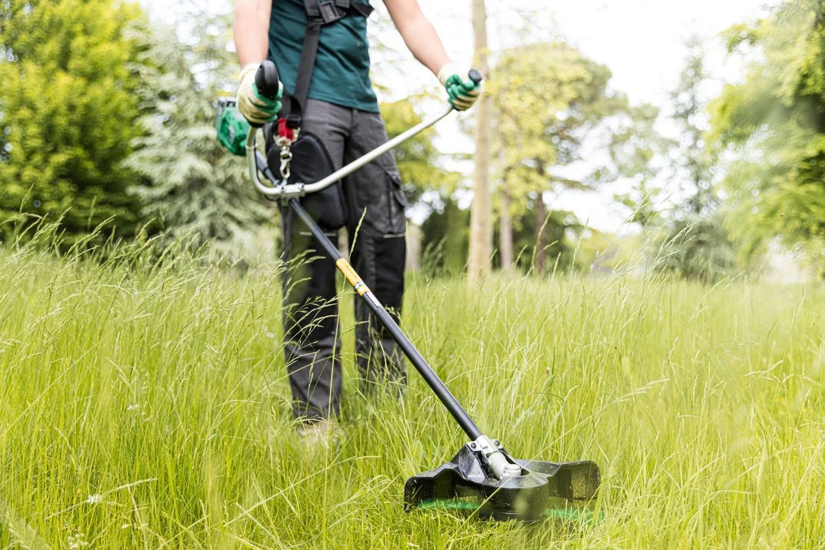 Produktbild Hikoki CG36DB Basic Akku Freischneider 36V Li-ion - Beispiel bild 3