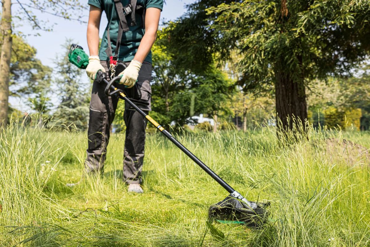 Produktbild Hikoki CG36DB Basic Akku Freischneider 36V Li-ion - Beispiel bild 7