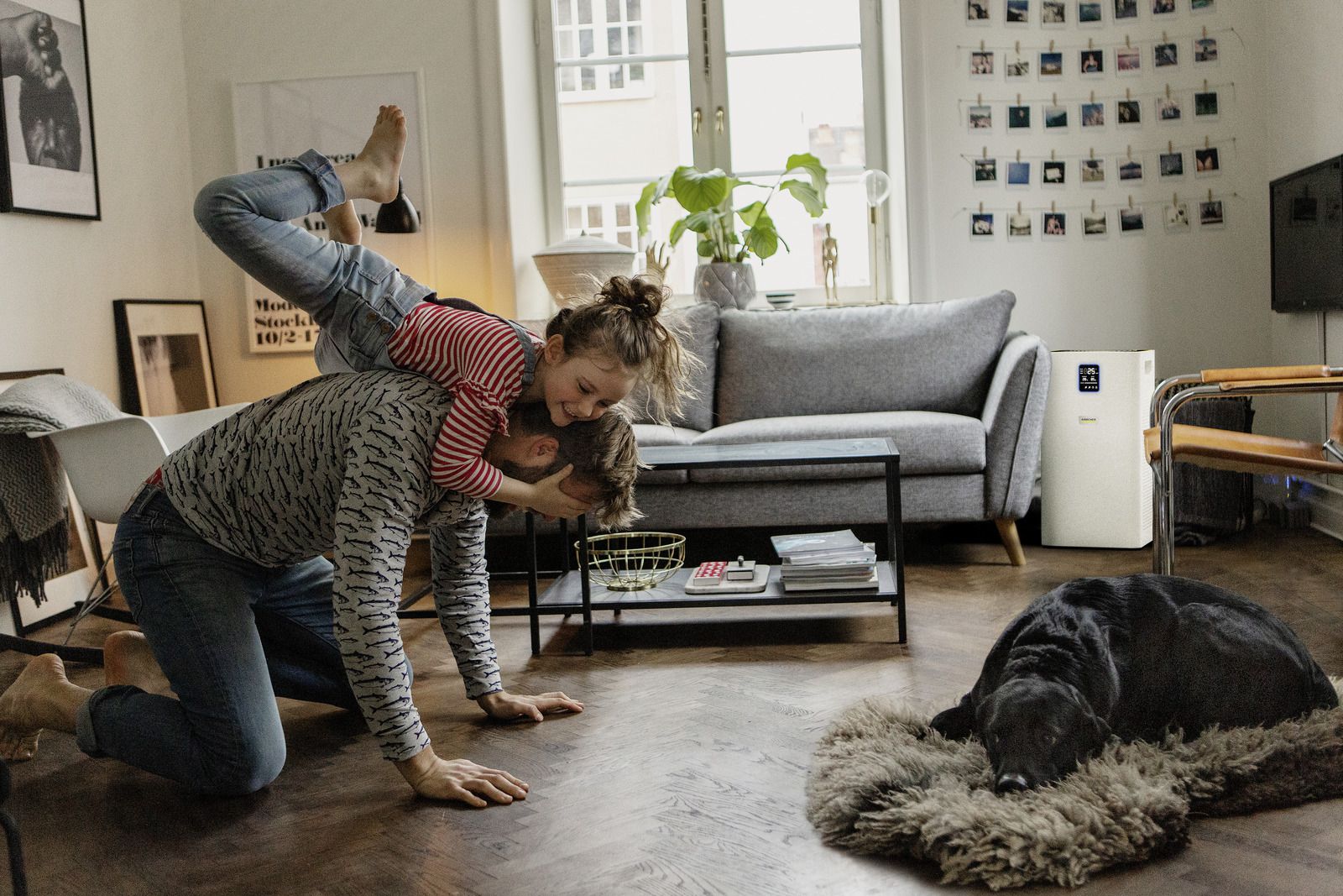 Produktbild Kärcher Luftreiniger AF 50 Luftreiniger für 50 bis 65 m² bild 7