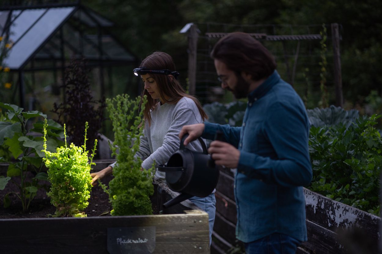 Produktbild Ledlenser LED Stirnlampe H5R Core bild 8