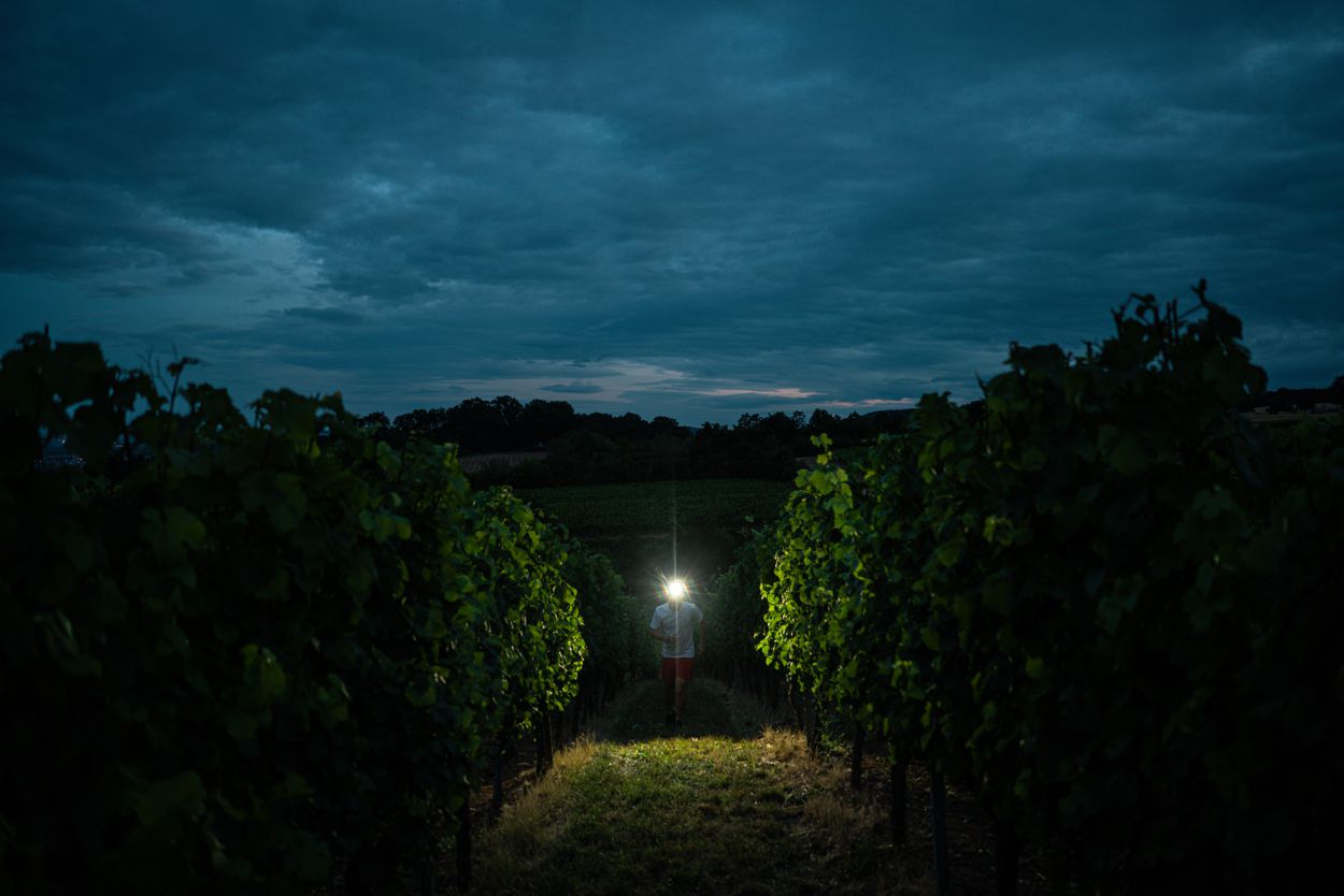 Produktbild Ledlenser LED Stirnlampe H7R Signature bild 10