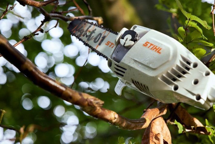 Produktbild Stihl Hochentaster HTA 86 ohne Akku und Ladegerät Beispiel 1 bild 4