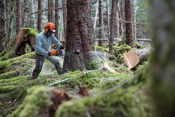 Produktbild Stihl Kettensäge Benzin 50cm MS 462 CM VW RS ES Light Beispiel 3 bild 6