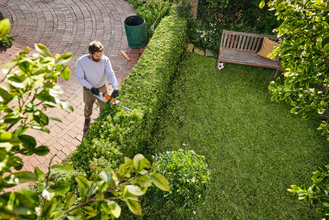 Produktbild STIHL Akku Heckenschere HSA 30 Set mit Akku AS 2 und Ladegerät AL 1 bild 4