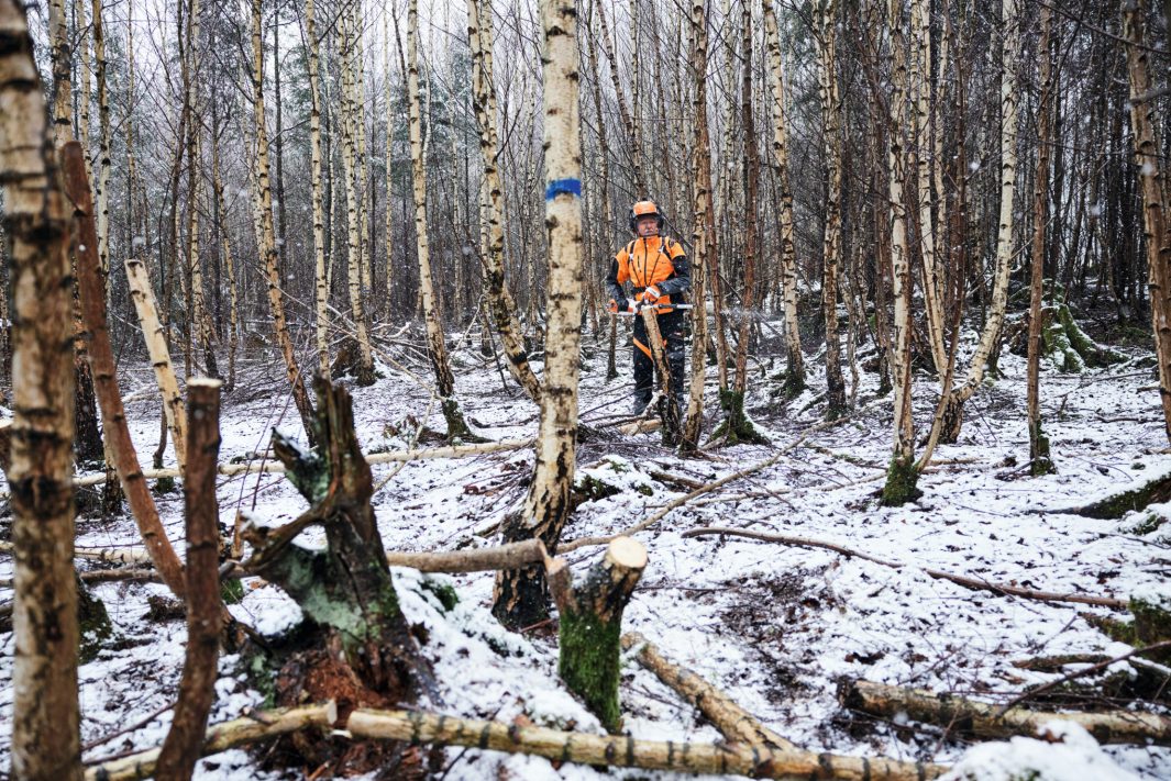 Produktbild STIHL Akku Hochentaster HTA 150 30 cm ohne Akku und Ladegerät g bild 5