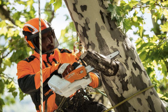 Produktbild Stihl Helmset Forstschutz Advance X-Climb Beispiel bild 3