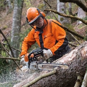 Stihl Kettensägen Ratgeber