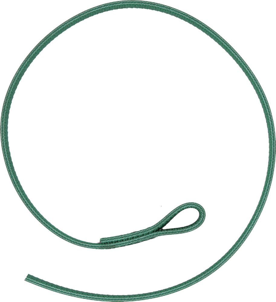 Produktbild Brilliant Tools Ersatzgurt für Gurtrohrzange BT064916 bild 2