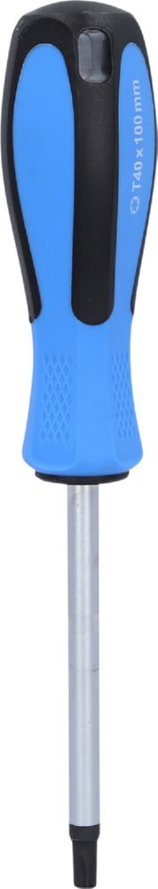 Produktbild Brilliant Tools Schraubendreher Torx T40 x 100 mm bild 2